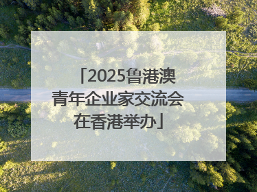 2025鲁港澳青年企业家交流会在香港举办