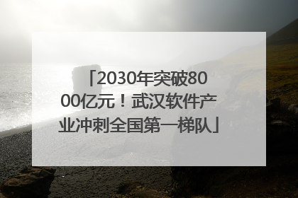 2030年突破8000亿元！武汉软件产业冲刺全国第一梯队