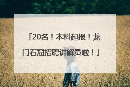 20名！本科起报！龙门石窟招聘讲解员啦！
