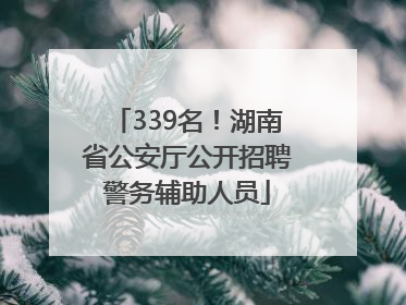 339名！湖南省公安厅公开招聘警务辅助人员