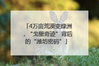 4万亩荒漠变绿洲，“戈壁奇迹”背后的“潍坊密码”