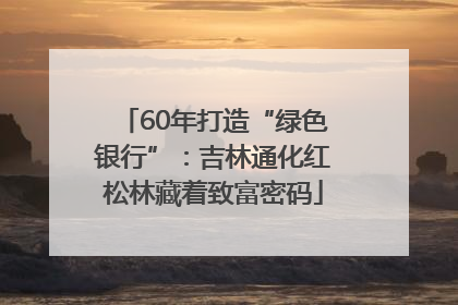 60年打造“绿色银行”：吉林通化红松林藏着致富密码