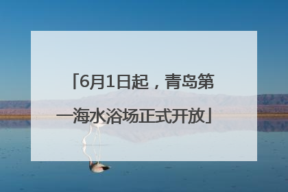 6月1日起，青岛第一海水浴场正式开放