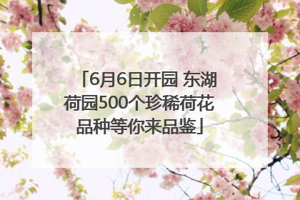 6月6日开园 东湖荷园500个珍稀荷花品种等你来品鉴