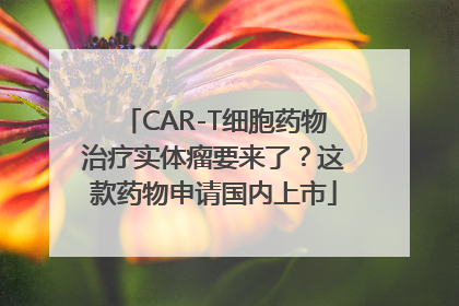 CAR-T细胞药物治疗实体瘤要来了？这款药物申请国内上市