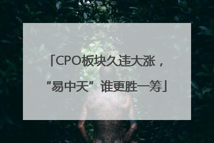 CPO板块久违大涨，“易中天”谁更胜一筹