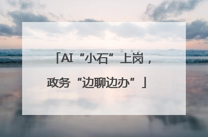 AI“小石”上岗，政务“边聊边办”