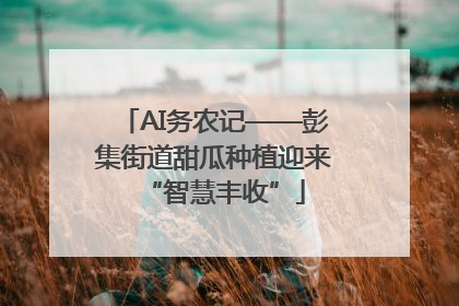 AI务农记——彭集街道甜瓜种植迎来“智慧丰收”