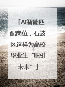 AI智能匹配岗位，石鼓区这样为高校毕业生“职引未来”