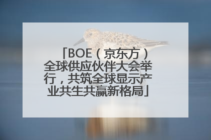 BOE（京东方）全球供应伙伴大会举行，共筑全球显示产业共生共赢新格局