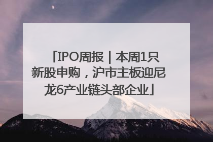 IPO周报｜本周1只新股申购，沪市主板迎尼龙6产业链头部企业