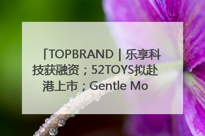 TOPBRAND｜乐享科技获融资；52TOYS拟赴港上市；Gentle Monster合作谷歌；Valentino传播官离职